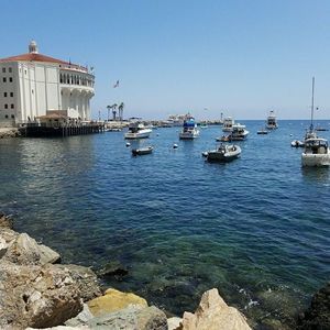 Meet your Posher, Nia